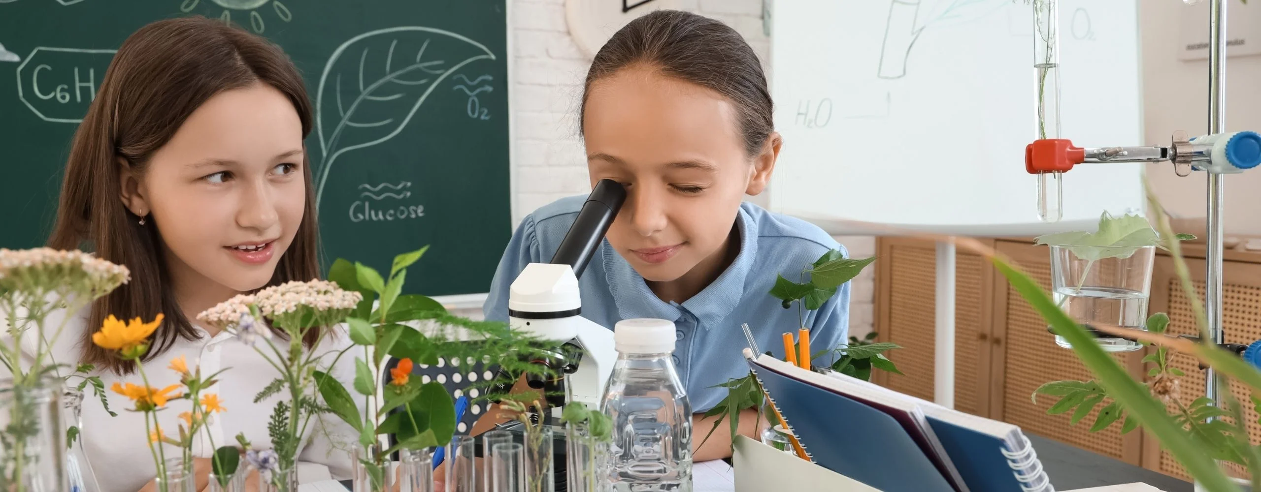 Doğayı Gözlemle, Bilimi Keşfet